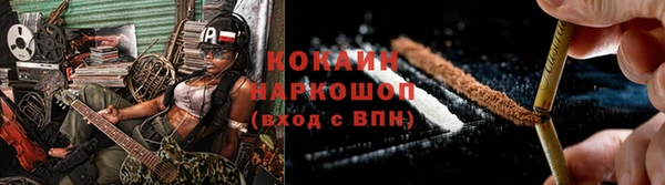 гашик Алексеевка