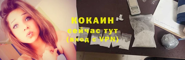 крисы Козловка